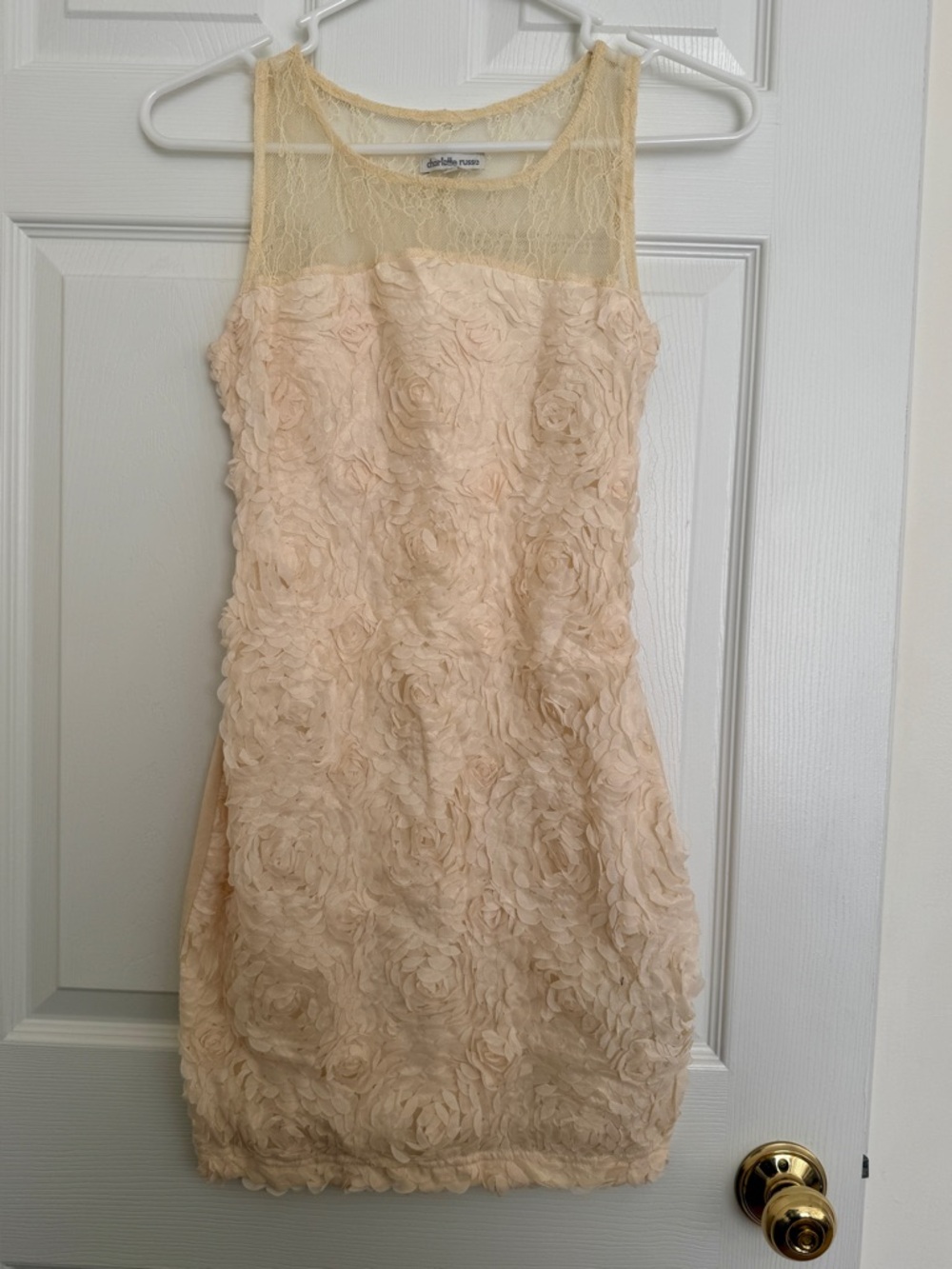 Blush Lace Rosette Mini Dress